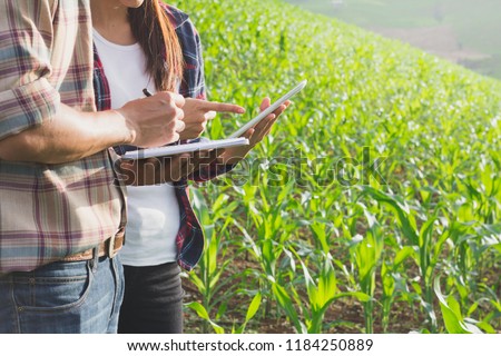 Agronomist examining plant in corn field, Couple farmer and researcher analyzing corn plant. Royalty-Free Stock Photo #1184250889