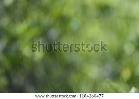 Rain Drops in green background