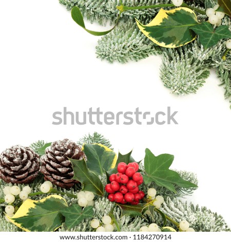 Winter and Christmas background border with holly berries, snow covered spruce pine, ivy, pine cones and mistletoe on white background with copy space.