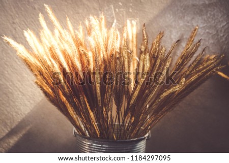 Dried Grass Dry Flower Bouquet Background in Zinc Vase with Sunlight on Concrete Wall use for Home Decoration Vintage Style ,Selective Focus.