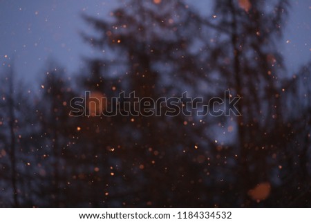 winter snowflakes fall near a street lamp and trees in the snow