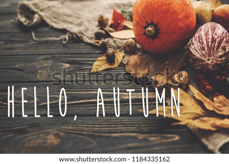 Hello Autumn Text. Hello Fall sign on beautiful Pumpkin, autumn vegetables with colorful leaves,acorns,nuts, berries on wooden rustic table. Cozy Fall season. Atmospheric image