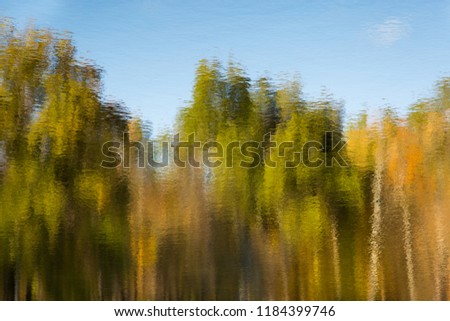 Trees reflected in lake