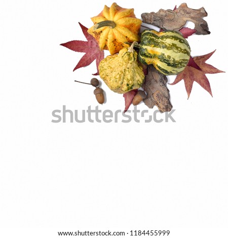 Decorative Colorful Mini Pumpkins, gourds and red fall leaves