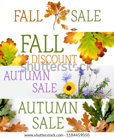 Autumn sale typography posters with autumn color leaves. Oak leaves for autumn discount banners