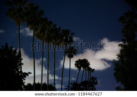 A scene of palm tree rows against a  moody, dark-blue, nigh-time sky of drifting clouds. An urban setting in San Diego, CA Royalty-Free Stock Photo #1184467627