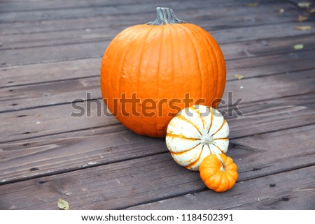 Pumpkins on Wood 