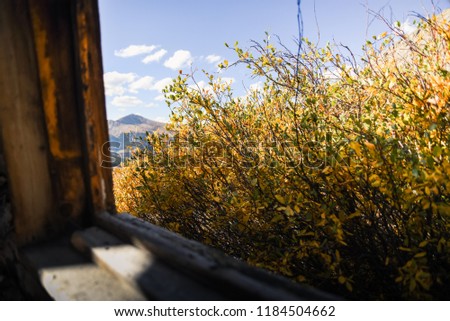 Fall foliage through an abandoned cabin window. 