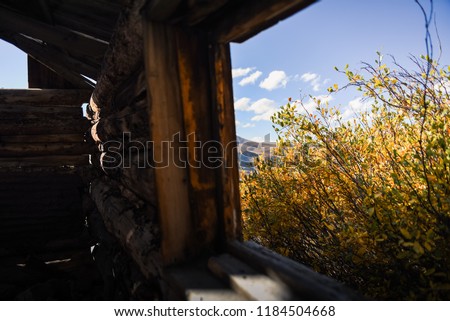 Fall foliage through an abandoned cabin window. 