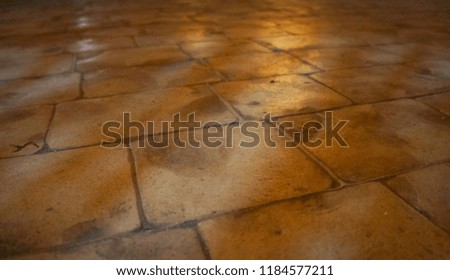 Outdoor Tiled Floor