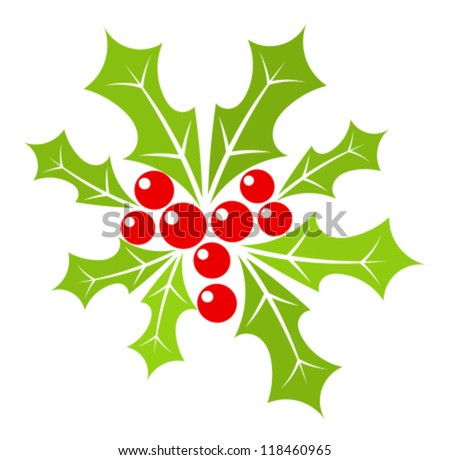 Christmas holly berry illustration