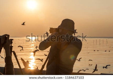 Silhouette of photographer  is being photographed seagulls flying over sea in sunset,sunrise time at Bang Pu,Samut Prakan, Thailand. on background.