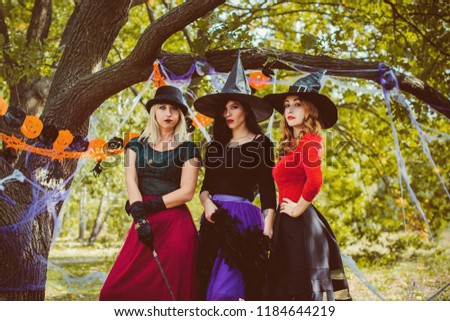 Three elegant and  charming, playful, flirty, dangerous, mysterious, scary female beauty. Close up portrait of gorgeous withes fairy enchantress, on a carnaval 