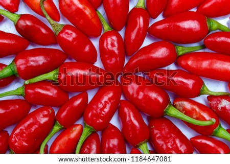 Close up of healthy and fresh Red chili or chilli cayenne pepper ( chile pepper, chilli pepper, chilli) isolated on white background.It is used for both food and traditional medicine.