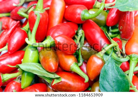 Group of chili peppers( chile pepper, chilli pepper, or simply chilli) isolated on white background.Capsaicin, the chemical in chili peppers is used as an analgesic in topical ointments, nasal sprays.