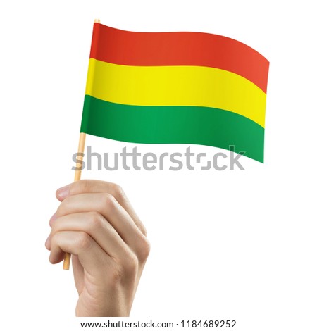 Hand holding flag of Bolivia, isolated on white background