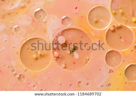A water oil milk and acrylic color macro abstract. Color abstract, water drops, oil drops, milk drops, paint drops