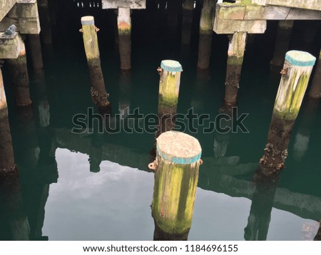 Colourful wooden pillars in murky lake