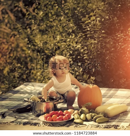 One small smiling boy at picnic playing and sitting near pot orange pumpkin squash and cucumber red tomato on checkered plaid looking away on natural background sunny day, square picture