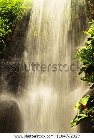 Water cascades rapidly onto rocks in this tropical waterfall.