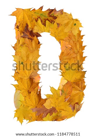 letter from autumn leaves