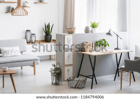 Grey armchair at desk with plant and lamp in flat interior with wooden table next to couch. Real photo