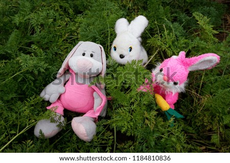 Three rabbits, soft toys, on among the tops of a growing carrot.