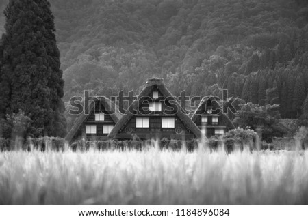 Shirakawa-Go Gassho Houses