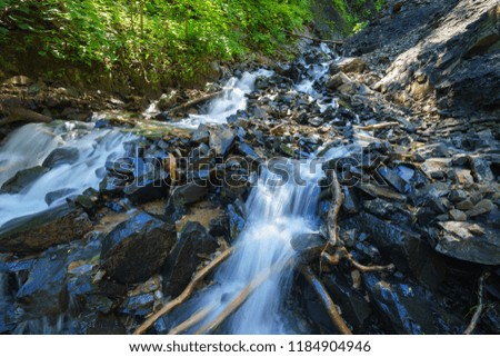 Mountain river on a sunny summer day, Sakhalin Island, Russia.