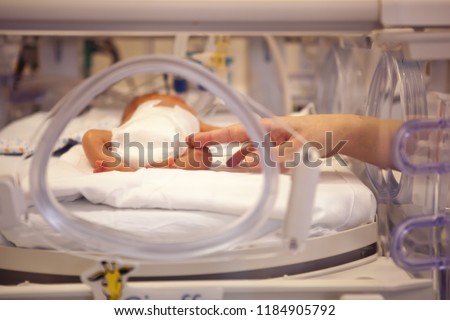 premature neonate in a special incubator Royalty-Free Stock Photo #1184905792