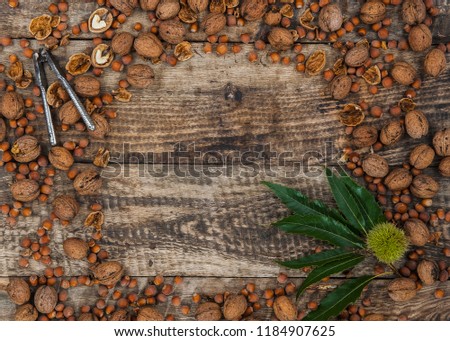 nuts lying on wood planks