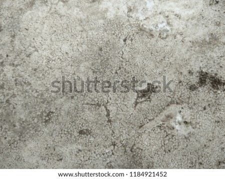 Deposition of Organic matter in the form of thread like fibres and grains on Concrete surface. The formation of this pattern is made on the Organic farming Concrete floor.Grunge on Concrete surface. 