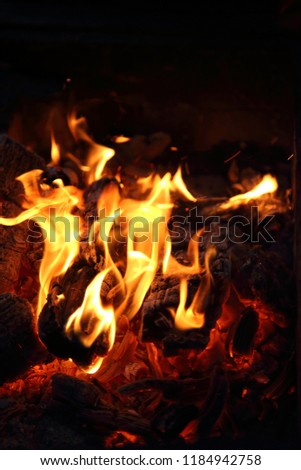 wood burning in fire,  Kyivska oblast, Ukraine 