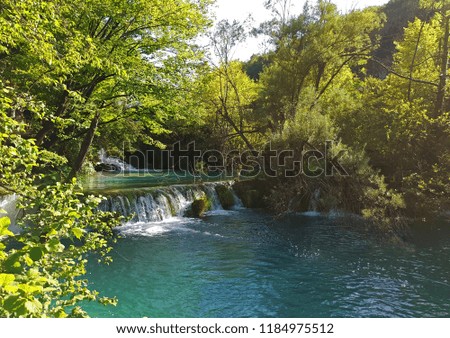 Beautiful blue spring in the green forest