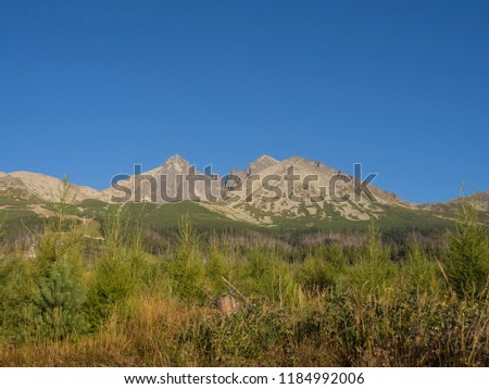 Tatra Mountains range gold colored sunrise light ,from Tatranska Lomnice with green trees and grass. Early autumn panorama