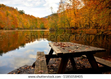 Seven lakes the national park, located to the north of Bolu province in the Black Sea region of Turkey.The beautiful   colors leaves and trees at autumn.
