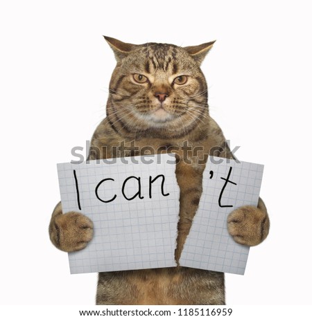 The cat is tearing a piece of paper where writing the phrase " I can't ". White background.
