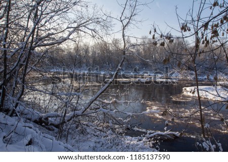 overgrown riverbank, snowy winter