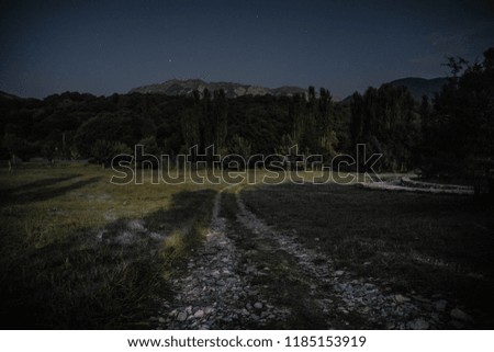 Beautiful night landscape with starry night mountains and forest. Night forest with green meadow and mountains in bright starry night or view of milky way