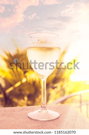 Glass of white wine over bright natural background with blue sky and green plants