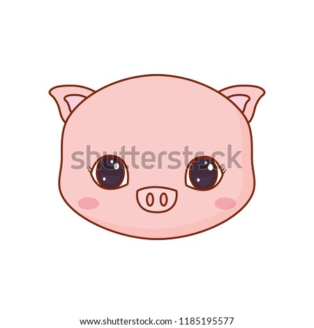 cute face piggy cartoon animal