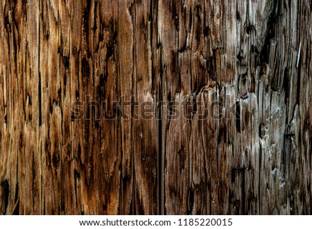 detailed and dimensional wooden pattern background or texture