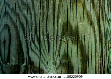 green wooden background with zebra texture or pattern