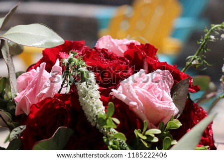 Bouquet of roses for an event or wedding celebration on a sunny day.