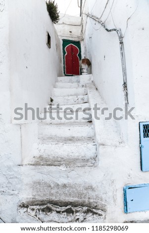 The picture of old Tunisian streets with a doors