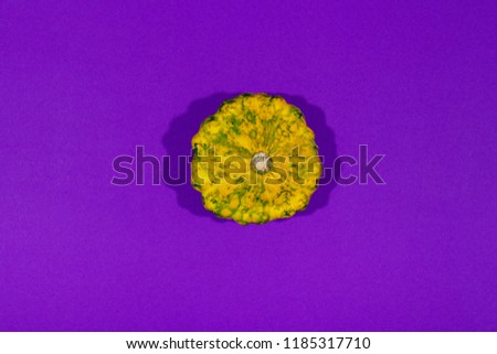 Colorful pattypan squash on purple background. Top view.