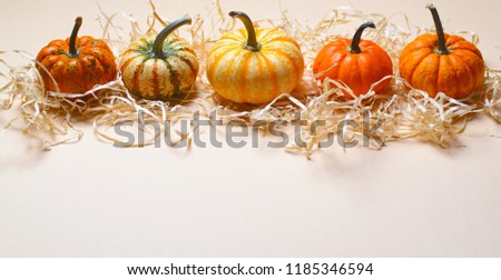 Different Colorful Pumpkins on Straw, Autumn Thanksgiving and Halloween Background