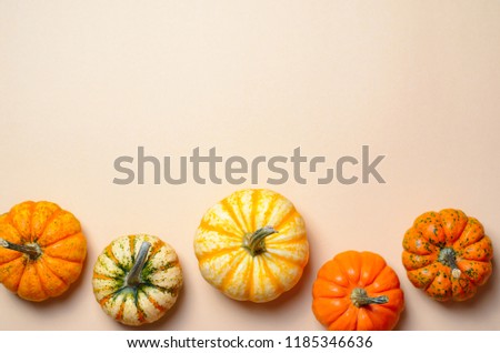 Different Colorful Pumpkins, Seasonal Autumn Thanksgiving and Halloween Background