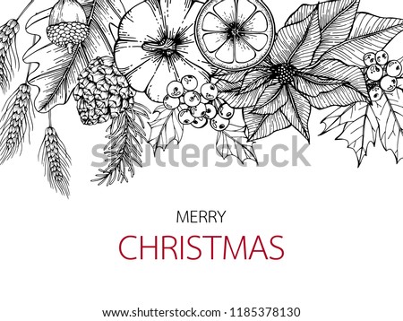 Merry Christmas day backgrounds with line art drawing illustration of poinetsettia, maple leaf, pine, holly