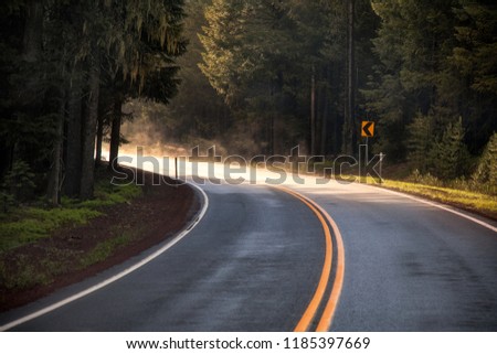 Scenic Winding Road. Beautiful Spring Landscape Road Trip. in Northern California, United States